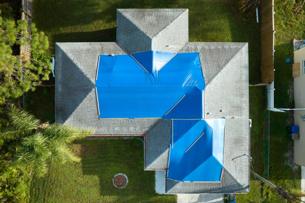 Best Roof Moss and Algae Removal  in Flowery Branch, GA