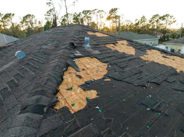 Best Skylight Installation and Repair  in Flowery Branch, GA